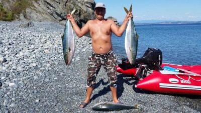 Аку.jpg (444.54 KIB) Просмотров: 21488 Аку.jpg