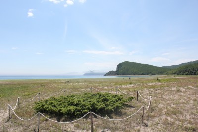 IMG_6428.jpg (447.79 KIB) Просмотров: 33607 IMG_6428.jpg