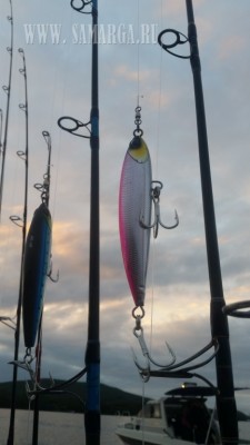 20170812_062828.jpg (54.56 KIB) Просмотров: 37338 20170812_062828.jpg