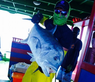 FullSizeRender-11-11-17-12-20-28.jpg (115.81 KIB) Просмотров: 25322 FullSizeRender-11-11-17-12-20-28.jpg