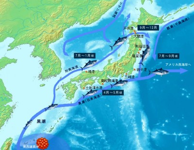 WhatsApp Image 2021-04-01 at 10.30.19.jpeg (103.47 KIB) Просмотров: 80690 WhatsApp Image 2021-04-01 at 10.30.19.jpeg